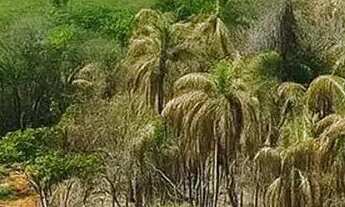 Imagem 3: Imóvel para venda com 600 metros quadrados em Centro - Guarulhos - SP
