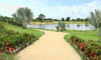 Imagem 3: Condomínio de chácaras Terra Santa codigo: 138375