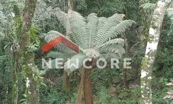 Imagem 2: Lote em Rua 6 Alpes - Alpes - São Francisco de Paula/RS