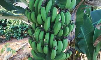 Imagem 7: Chácara espetacular para venda, escriturada e registrada