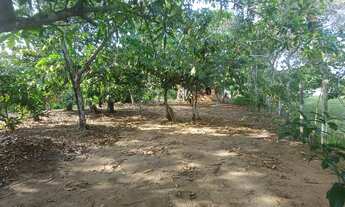 Imagem: /Lote com 800 M2 em Açutuba