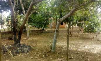 Imagem 6: /Lote com 800 M2 em Açutuba