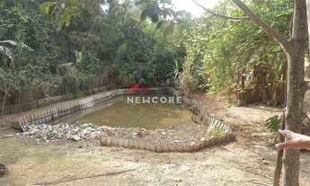 Imagem 7: Sítio em Rua Pedra Dourada - Parque Ipiranga - Betim/MG