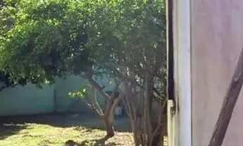 Imagem: 1 Casa e 1 edícula em um terreno de 360m²