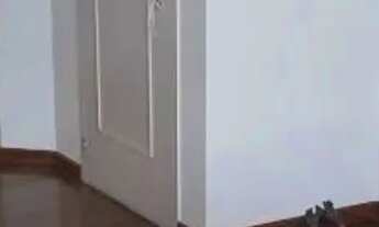 Imagem 3: APARTAMENTO - LAPA - SP