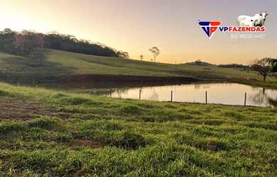 Imagem 2: FAZENDINHA 6 ALQUEIRES MUNICÍPIO DE ARAÇU-GO