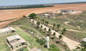 Imagem 6: Fazenda com Dívida no TO. 6.372.24 hectares 360 milhões. 320 com divida