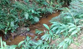 Imagem 2: Chacara em São lourenço da Serra