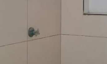 Imagem 3: Vendo e alugou uma casa