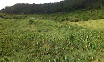 Imagem 2: Vendo Sítio em Maria Mendonça, 4 Distrito, Trajano de Moraes