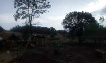 Imagem 3: Vendo chácara Chácara com venda por R$65.000