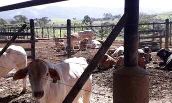 Imagem 2: Uma ótima Fazenda em Caçapava! À 7km da cidade!