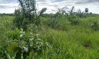 Imagem 7: Fazenda flor de lis ( região de itaubà