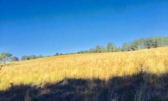 Imagem 6: Terreno Rural 798.600,00m² São Luiz do Purunã