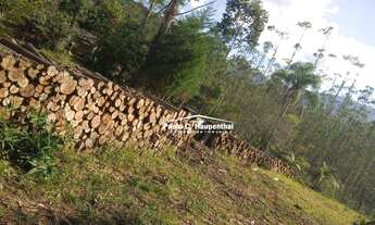 Imagem 5: Sítio com 1 dormitório à venda, 90000 m² por R$ 400.000 - Timbé do Sul/Santa Catarina