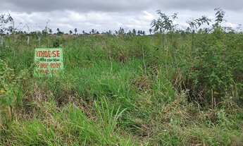 Imagem 3: Terreno em salgado Se