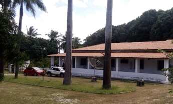 Imagem 6: Sítio / Chácara À Venda, 60000 M² - Pindoretama/ce