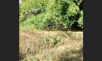 Imagem 3: Fazenda em Ponte Alta