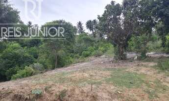 Imagem 3: Terreno escriturado, com 17 mil m², em Coqueiros de Arembepe