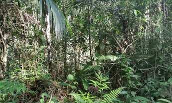 Imagem 7: Lote/Terreno para venda Terreno com água próximo a linda cachoeira Área de 5.000.00