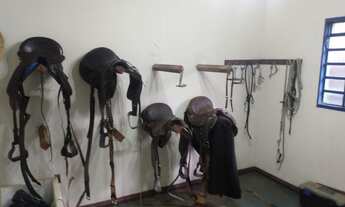 Imagem 3: Haras com 5,5 ha, casa sede, casa de apoio e escritório em Sapucaí-Mirim - MG