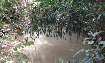 Imagem 7: Fazenda/Sítio/Chácara para venda tem 200 metros quadrados com 2 quartos