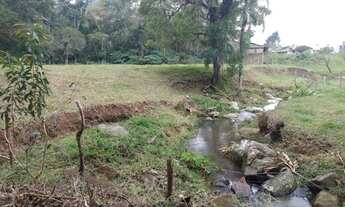 Imagem 5: Linda Área em Garopaba-SC