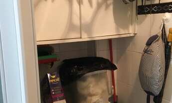 Imagem 4: Apartamento Residencial Tiradentes. 2 dormitórios, 1 wc, 1 vaga. Lazer e segurança 24 hs