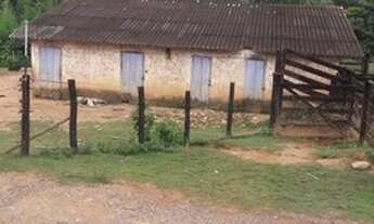 Imagem 2: Fazenda 300 alq. capitólio-MG - Criação de gado