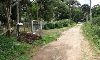 Imagem 2: Excelente Chácara Sem Benfeitorias