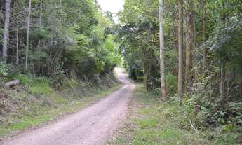 Imagem 3: Sítio à venda, 130000 m² por R$ 1.085.000,00 - Pedra Branca - Gramado/RS