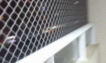 Imagem 3: Apartamento com 1 dorm, Guilhermina, Praia Grande - R$ 250 mil, Cod: 4082