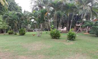 Imagem 3: Terreno de 75000m2 com Casa de 5/4 - Abrantes