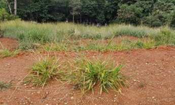 Imagem 6: CONTAGEM - Loteamento/Condomínio - Portal do Sol