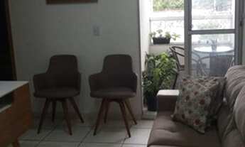 Imagem 7: Alameda dos Ipês