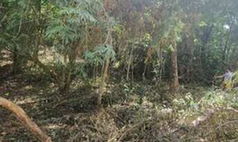 Imagem 7: Vespasiano - Loteamento/Condomínio - Bernardo De Souza