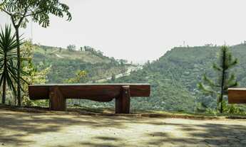 Imagem 4: Lote com otima topografia e localização