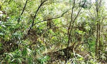 Imagem 5: Excelente Chacara