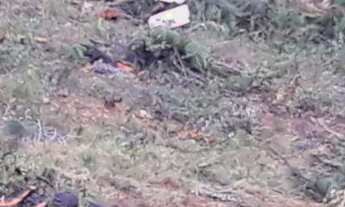 Imagem 1: Nova Lima - Loteamento/Condomínio - São Sebastião Das Águas Claras