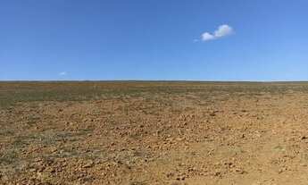 Imagem 2: Fazenda na região de Hidrolândia - GO