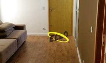 Imagem 3: Apartamento com 2 dormitórios, 48 m² - venda por R$ 180.000,00 ou aluguel por R$ 1.100,00