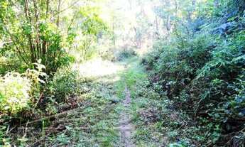 Imagem 3: Área no Prumirim, bem localizada, 80% plana, 105 mil m2