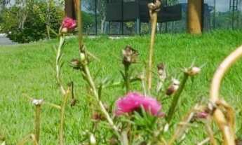 Imagem 5: Oportunidade casa à venda com praia particular