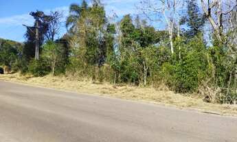 Imagem 2: Permuta Terreno Caximba 9.000m² Estrada Delegado Bruno Almeida, asfalto, troca permuta