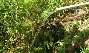 Imagem 4: Sapucaí Mirim / Chácara