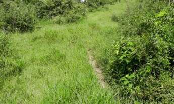 Imagem 3: VENDO TERRENOS EM SANTA ISABEL!