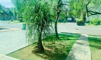 Imagem 2: Oportunidade Sobrado alto padrão Jardins Atenas