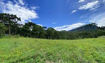 Imagem 6: IMÓVEL RURAL A VENDA - 2.0 HECTARES