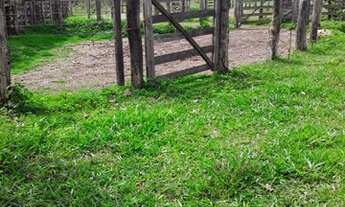 Imagem 6: Fazenda - Cocalzinho de Goiás - 158 alqueires - Toda formada - C/ Bastante água