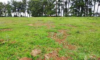 Imagem: Lote/Terreno para venda com 1000 metros